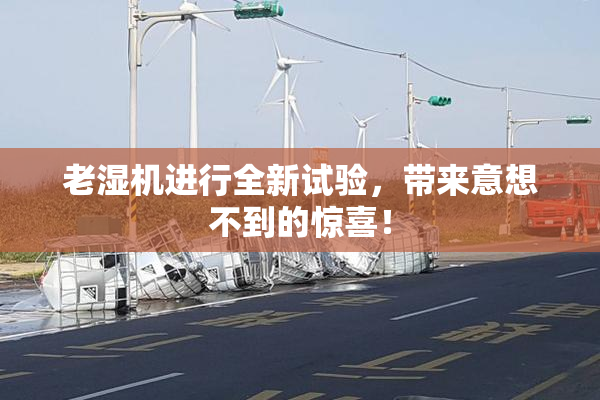 老湿机进行全新试验，带来意想不到的惊喜！
