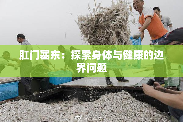 肛门塞东：探索身体与健康的边界问题