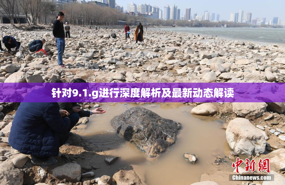 针对9.1.g进行深度解析及最新动态解读