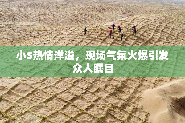 小S热情洋溢，现场气氛火爆引发众人瞩目