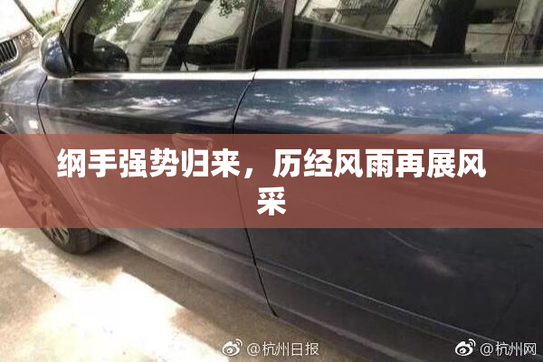 纲手强势归来，历经风雨再展风采