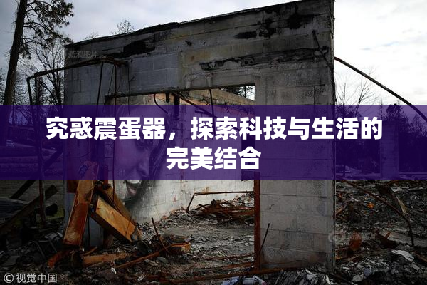 究惑震蛋器，探索科技与生活的完美结合