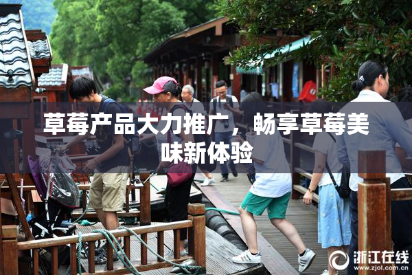 草莓产品大力推广，畅享草莓美味新体验