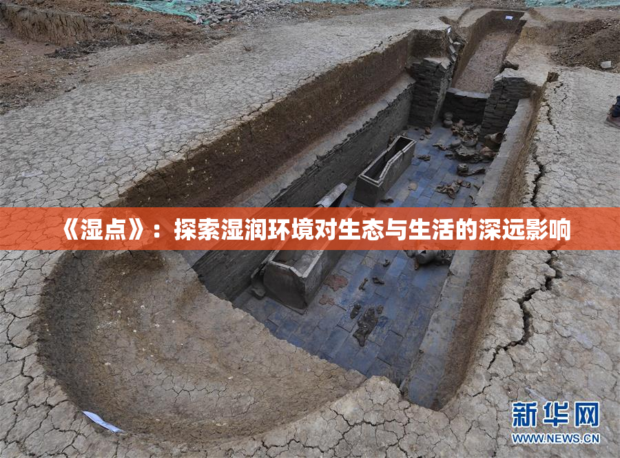《湿点》：探索湿润环境对生态与生活的深远影响