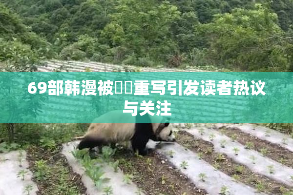 69部韩漫被❌‌重写引发读者热议与关注
