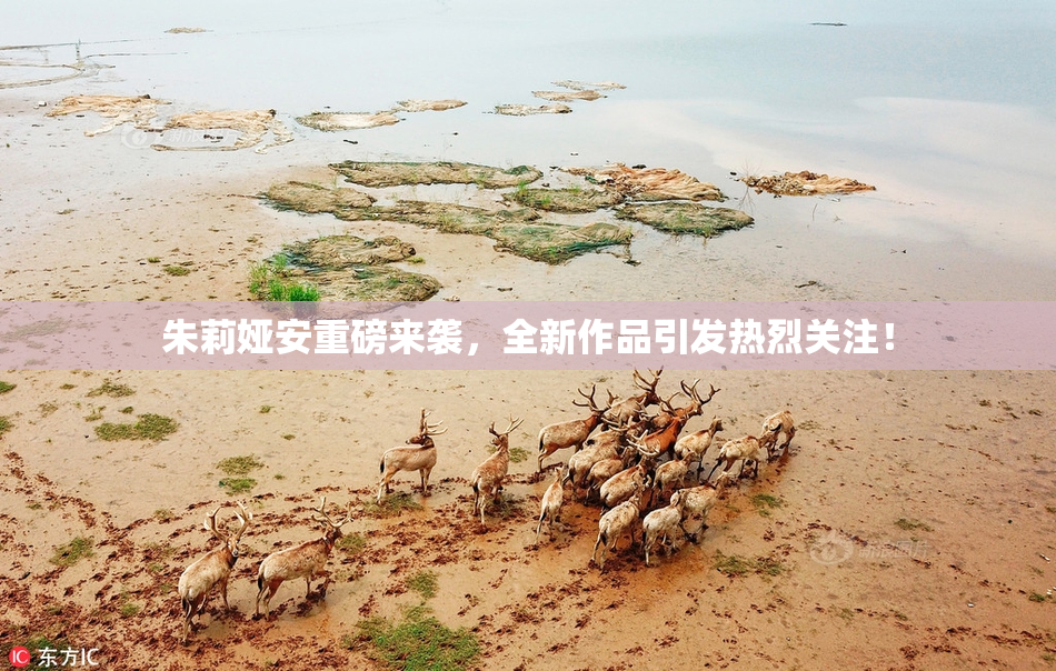 朱莉娅安重磅来袭，全新作品引发热烈关注！