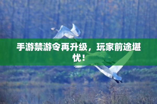 手游禁游令再升级，玩家前途堪忧！