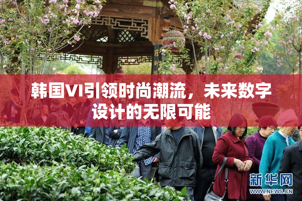韩国VI引领时尚潮流，未来数字设计的无限可能