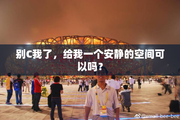 别C我了，给我一个安静的空间可以吗？