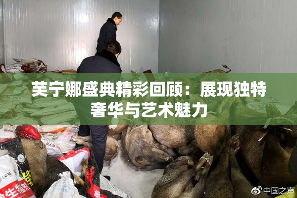 芙宁娜盛典精彩回顾：展现独特奢华与艺术魅力