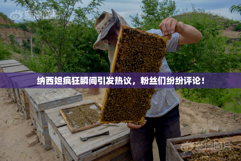 纳西妲疯狂瞬间引发热议，粉丝们纷纷评论！