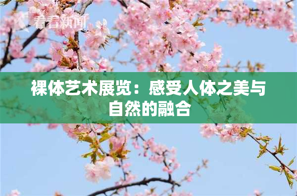 裸体艺术展览：感受人体之美与自然的融合