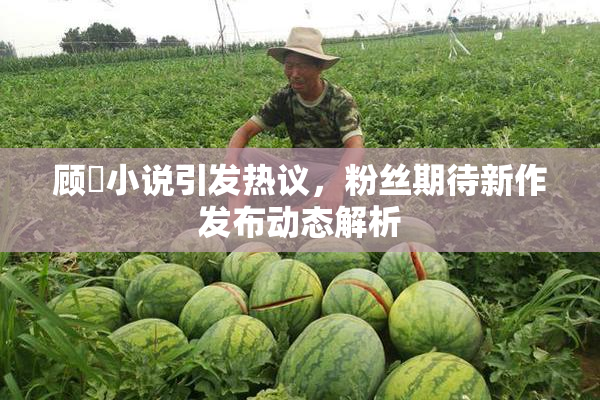 顾嫚小说引发热议，粉丝期待新作发布动态解析
