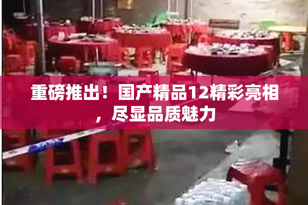 重磅推出！国产精品12精彩亮相，尽显品质魅力