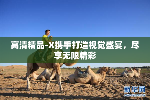 高清精品-X携手打造视觉盛宴，尽享无限精彩
