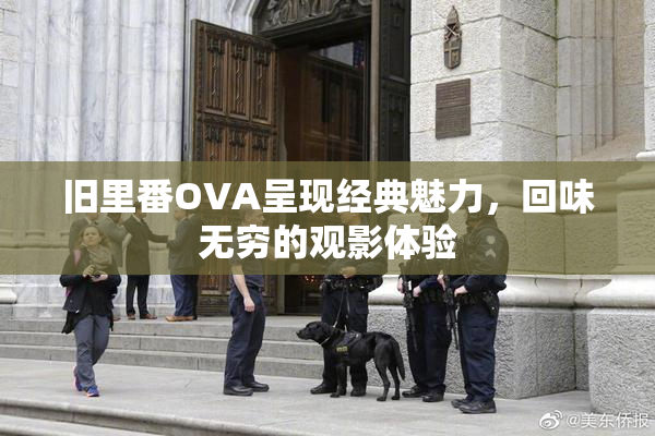 旧里番OVA呈现经典魅力，回味无穷的观影体验