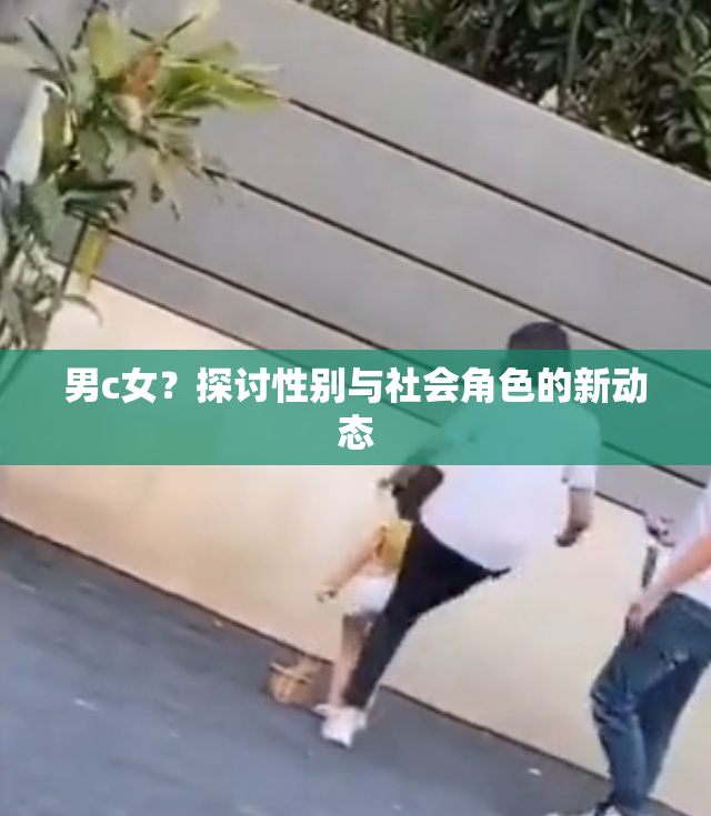 男c女？探讨性别与社会角色的新动态