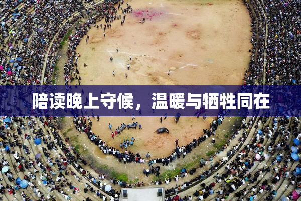 陪读晚上守候，温暖与牺牲同在