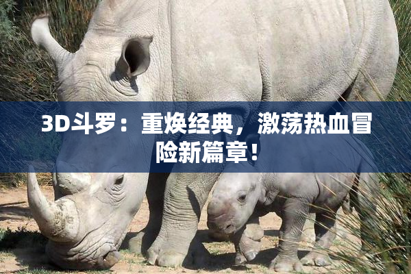 3D斗罗：重焕经典，激荡热血冒险新篇章！