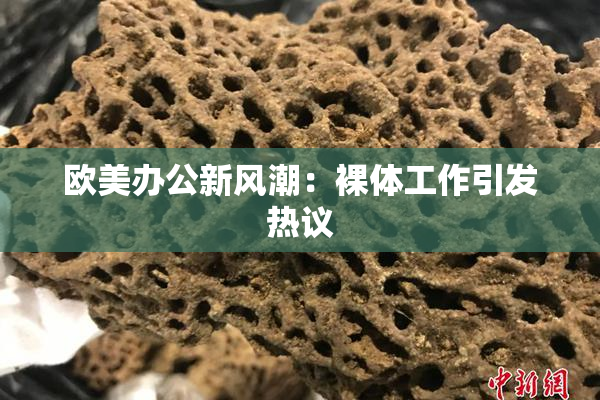 欧美办公新风潮：裸体工作引发热议