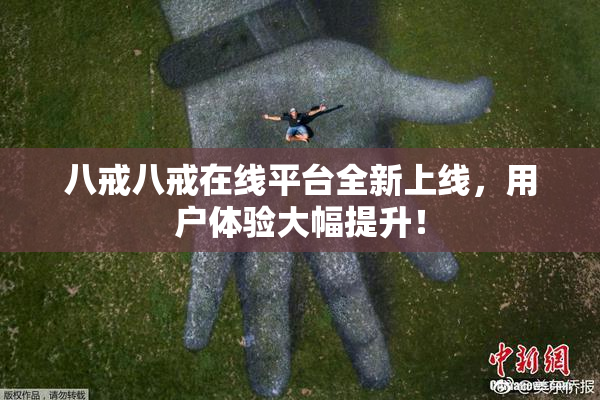 八戒八戒在线平台全新上线，用户体验大幅提升！