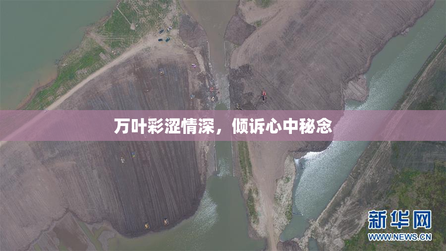 万叶彩涩情深，倾诉心中秘念