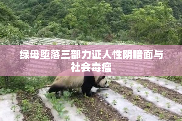 绿母堕落三部力证人性阴暗面与社会毒瘤