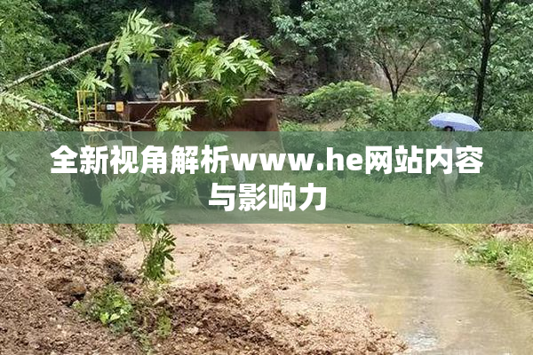 全新视角解析www.he网站内容与影响力
