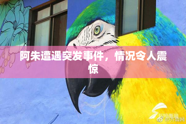 阿朱遭遇突发事件，情况令人震惊