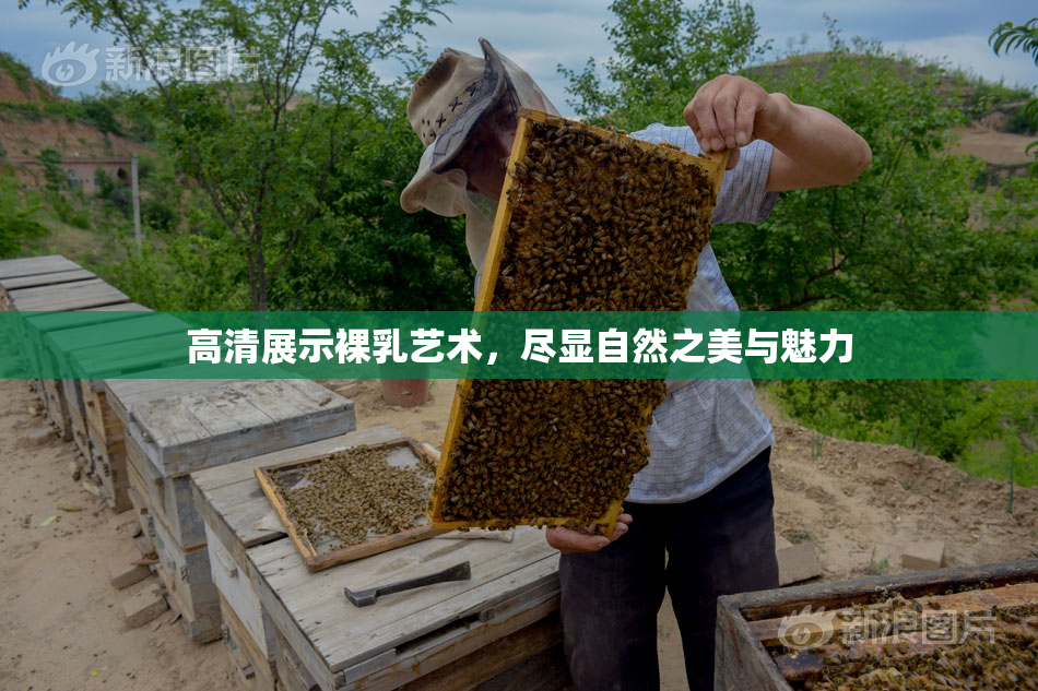 高清展示裸乳艺术，尽显自然之美与魅力