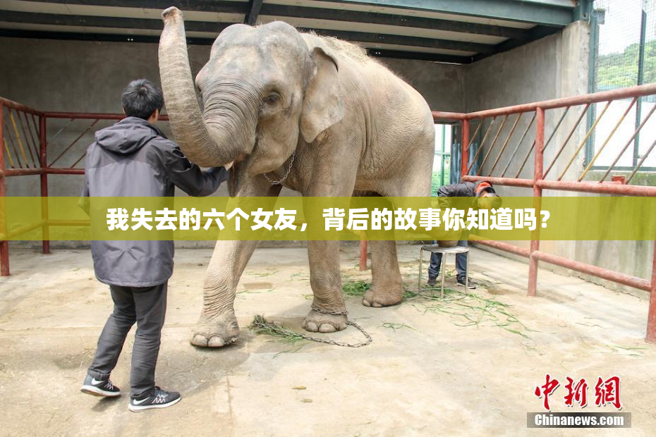我失去的六个女友，背后的故事你知道吗？