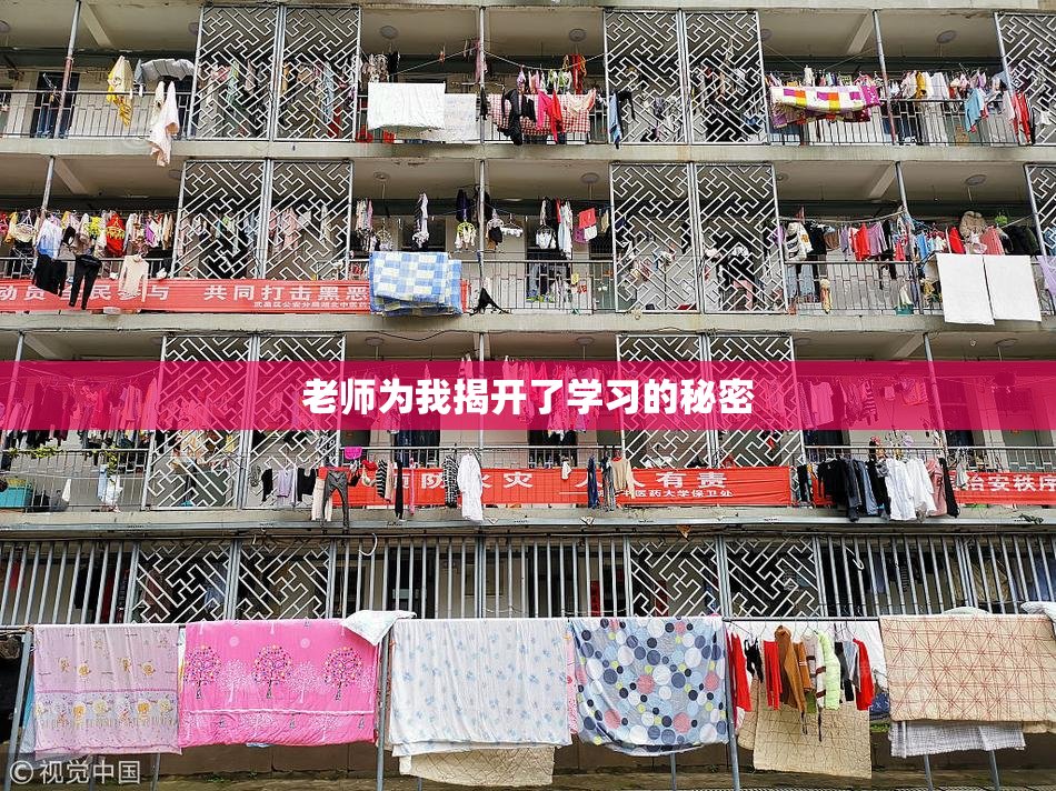 老师为我揭开了学习的秘密