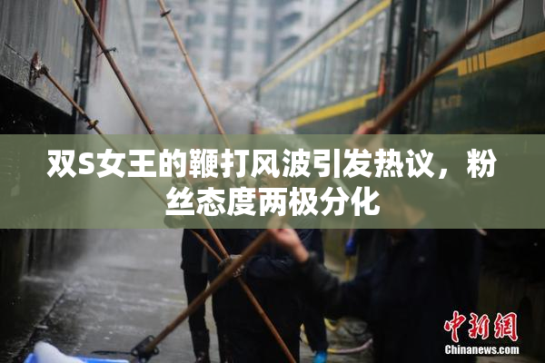 双S女王的鞭打风波引发热议，粉丝态度两极分化