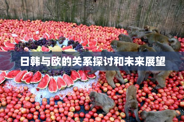 日韩与欧的关系探讨和未来展望