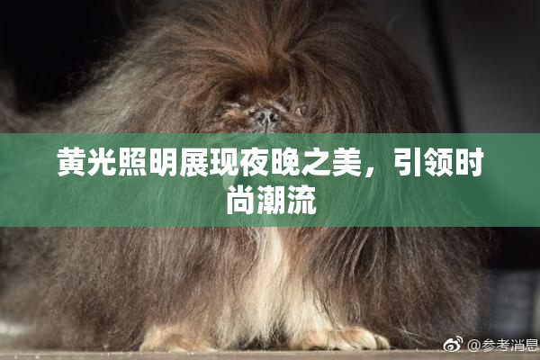 黄光照明展现夜晚之美，引领时尚潮流