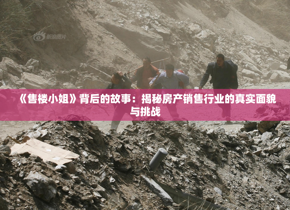《售楼小姐》背后的故事：揭秘房产销售行业的真实面貌与挑战