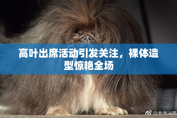 高叶出席活动引发关注，裸体造型惊艳全场