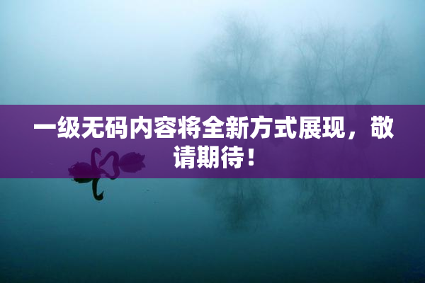 一级无码内容将全新方式展现，敬请期待！