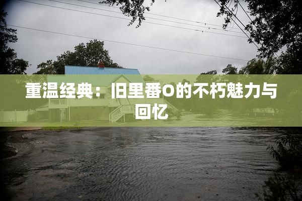 重温经典：旧里番O的不朽魅力与回忆
