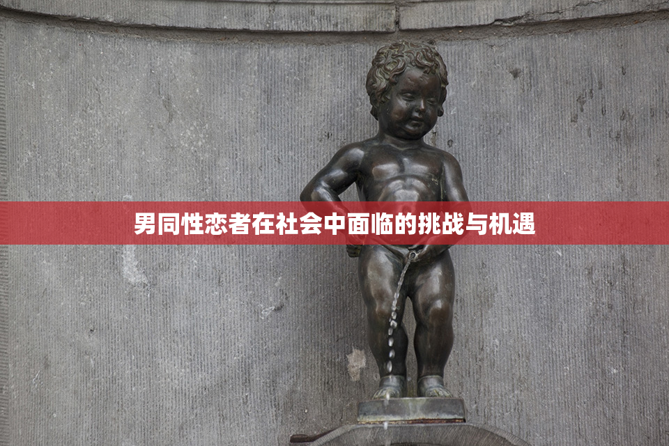 男同性恋者在社会中面临的挑战与机遇