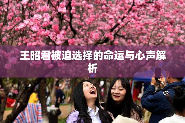 王昭君被迫选择的命运与心声解析
