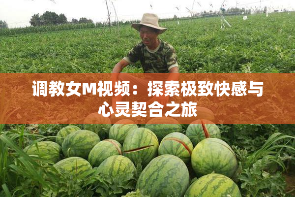 调教女M视频：探索极致快感与心灵契合之旅