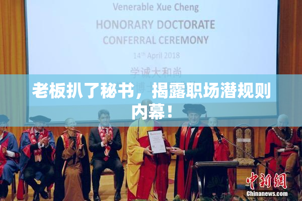 老板扒了秘书，揭露职场潜规则内幕！