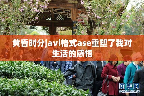 黄昏时分javi格式ase重塑了我对生活的感悟