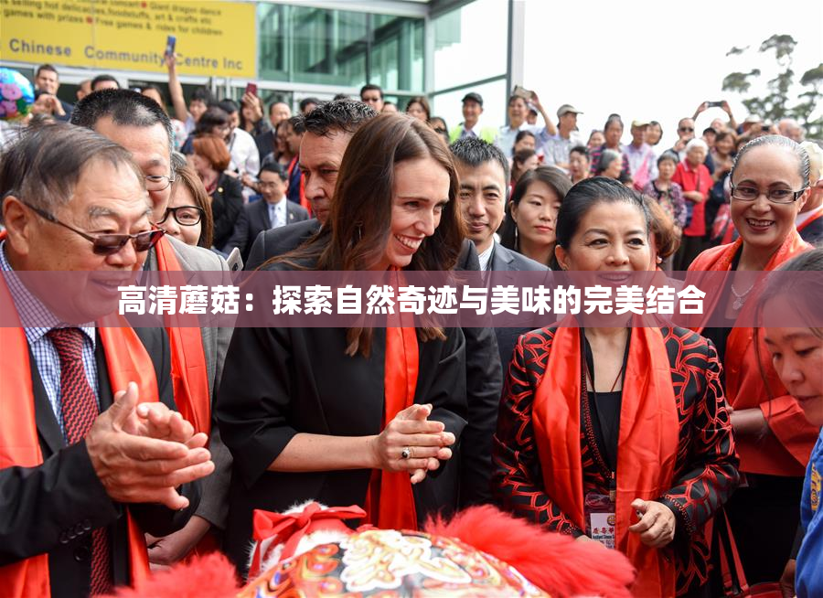 高清蘑菇：探索自然奇迹与美味的完美结合