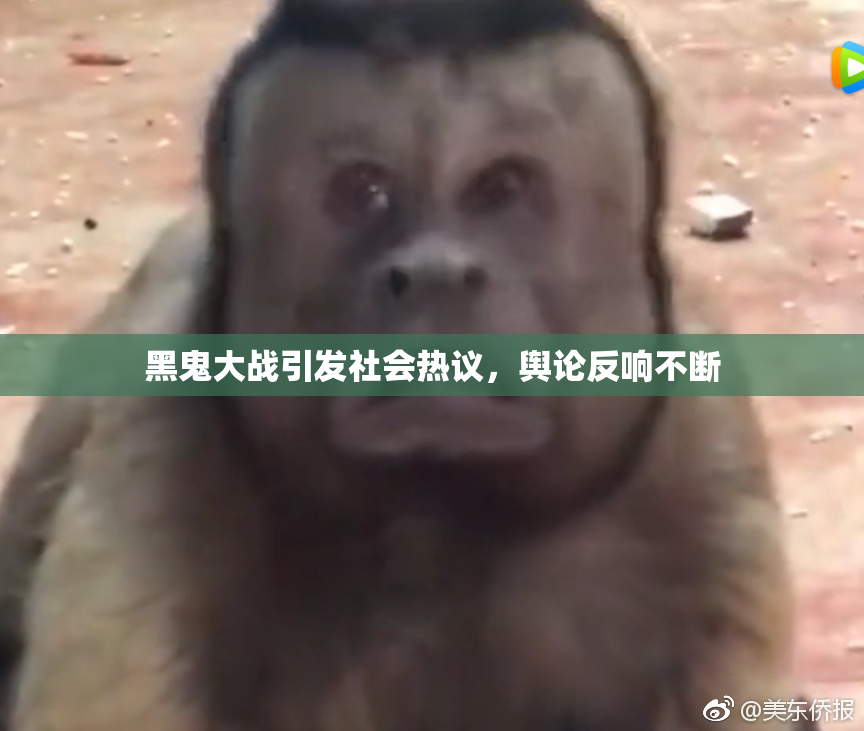 黑鬼大战引发社会热议，舆论反响不断