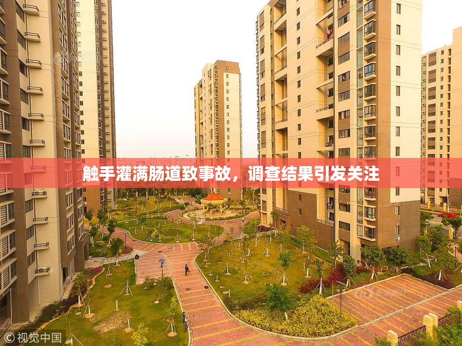 触手灌满肠道致事故，调查结果引发关注