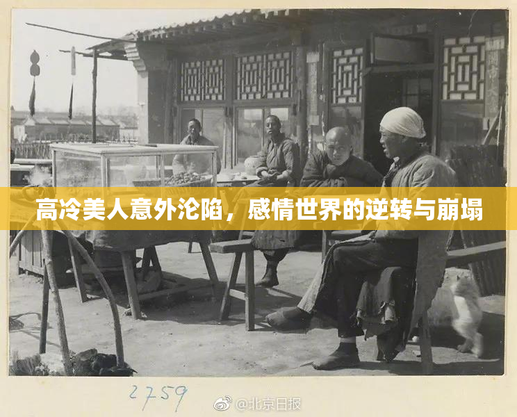 高冷美人意外沦陷，感情世界的逆转与崩塌