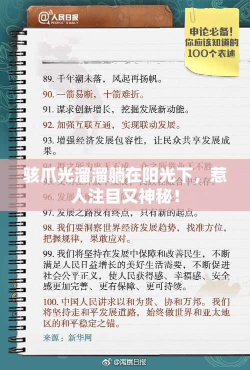 骇爪光溜溜躺在阳光下，惹人注目又神秘！