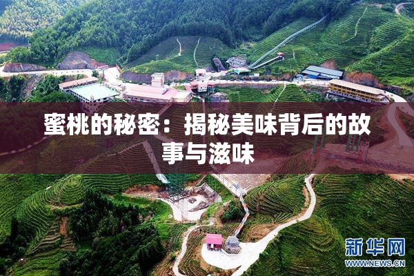 蜜桃的秘密：揭秘美味背后的故事与滋味